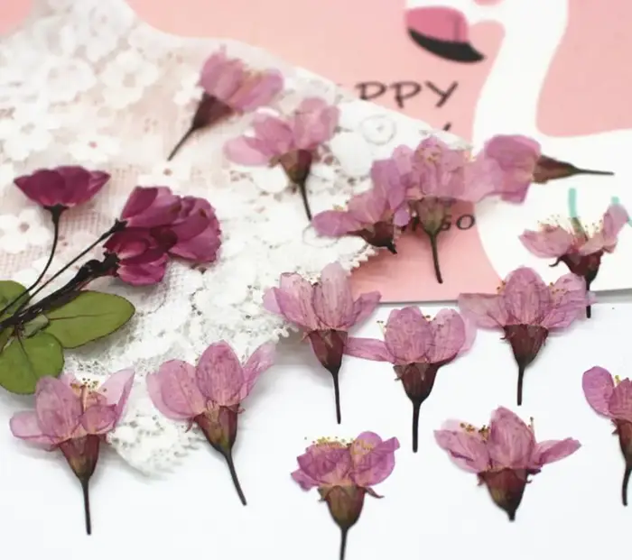 120 pièces de fleurs de cerisier Sakura séchées pressées pour la fabrication de bijoux en résine