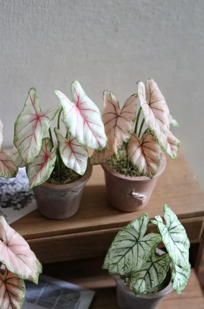 Ensemble de plantes miniatures 1:6, faits à la main, réalistes, fougères, érables, caladium en pot, tailles personnalisées exclusives, décoration de jardin pour maison de poupée BJD, art décoratif BJD