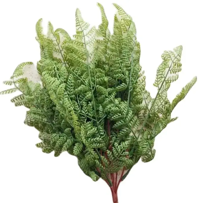 Bouquet de feuilles de fougère au toucher unique