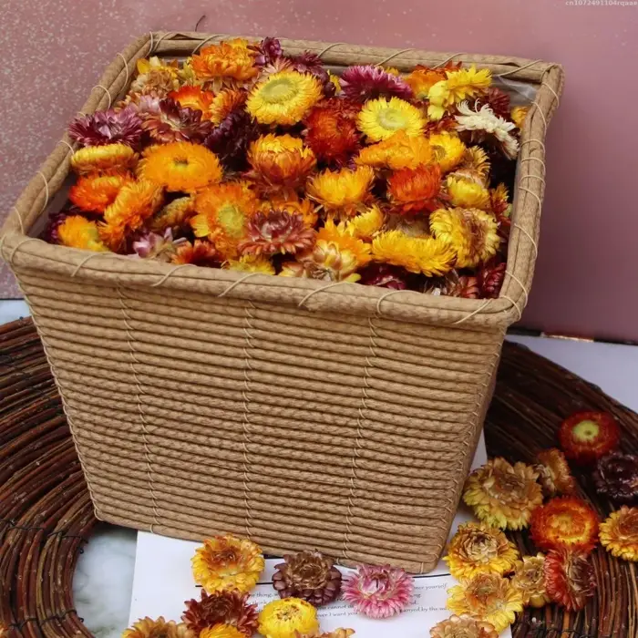 Fleurs Artificielles Décoratives Tournesol Marguerite Hélichrème Bracteatum pour Décoration de Vase à la Maison, Mariage, Fête, Matière Première pour Artisanat DIY