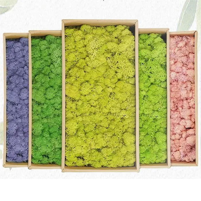 Plantes artificielles en mousse verte