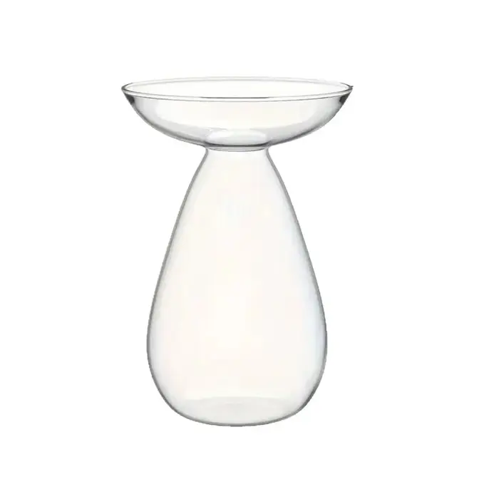 Vase de démarrage de graines d'avocat, Station de Propagation de plantes transparente, Vase de fleur