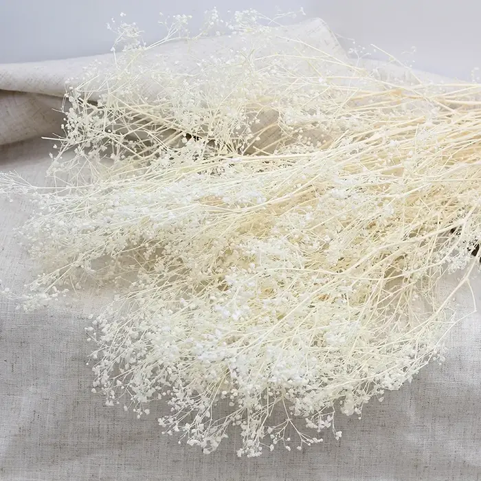 Bouquet de fleurs séchées naturelles, millions de couronnes de bébé, décoration de mariage, Eternell