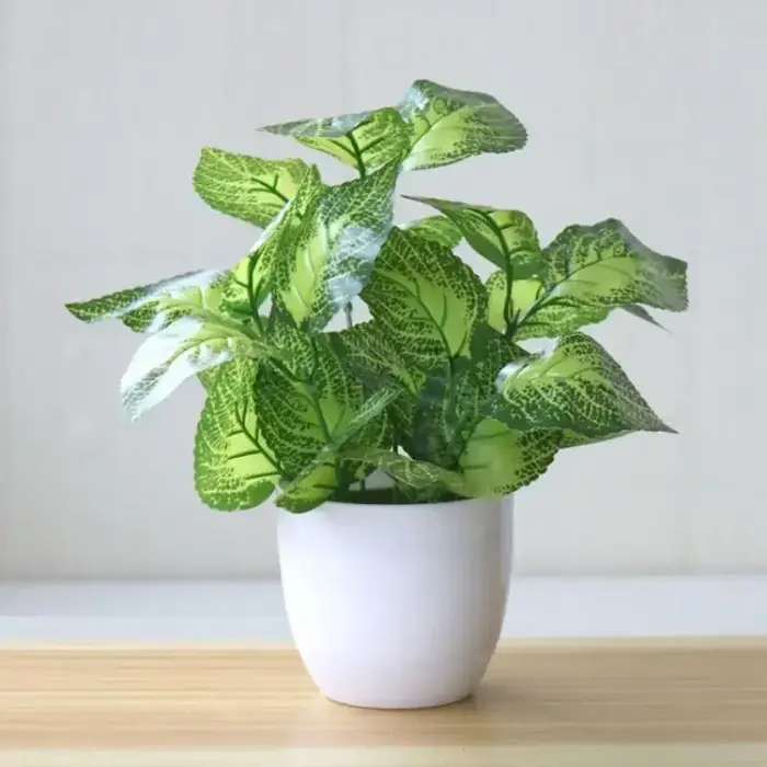 Plantes artificielles bonsaï fausses plantes