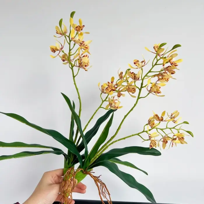 Orchidées artificielles au toucher réel