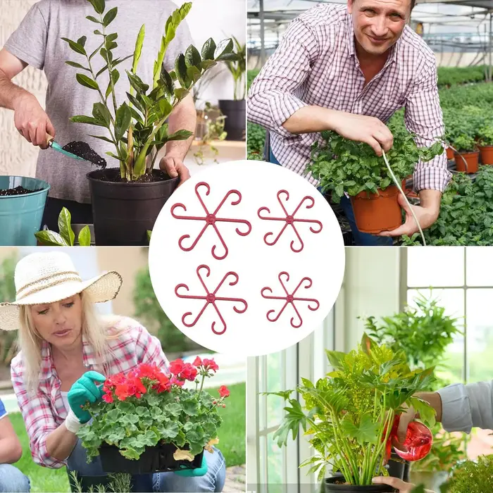 Supports de tiges pour plantes d'intérieur