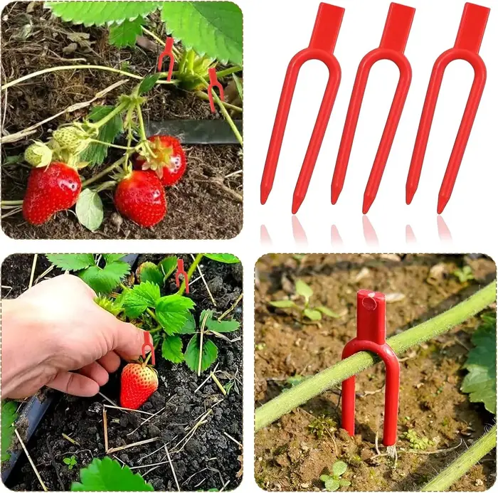 Épingles et clips de jardinage en plastique pour plantes grimpantes