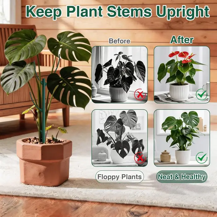 Supports de plantes empilables pour Monstera