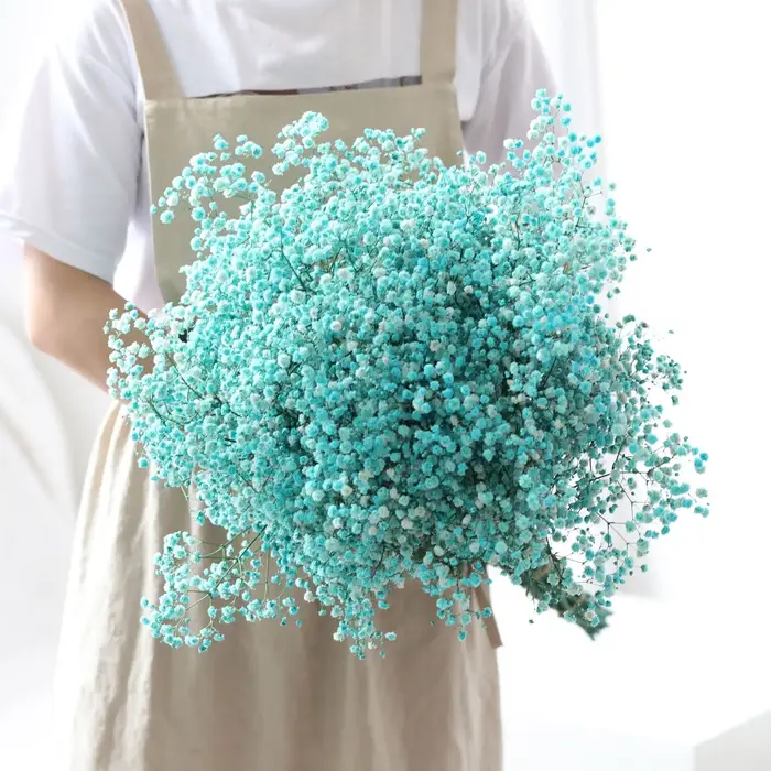 Vraies fleurs séchées gypsophile bébé souffle Bouquet