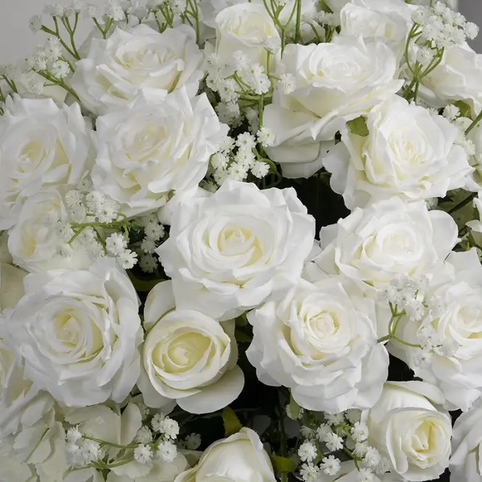 Hortensia Rose blanche