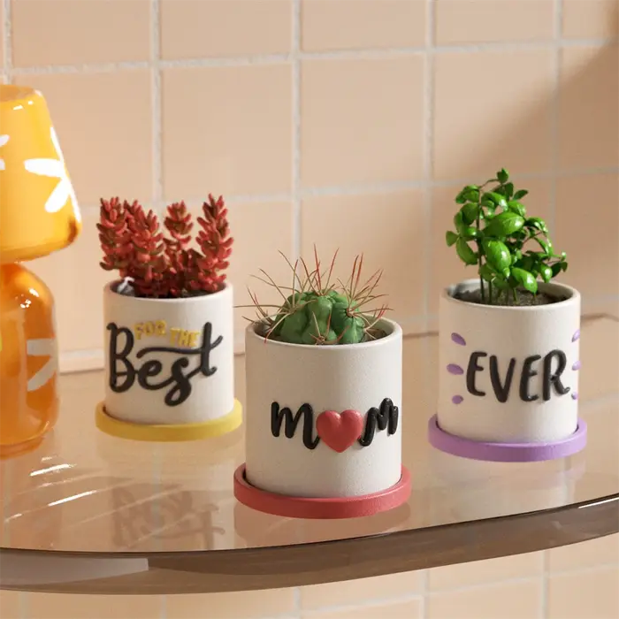 Nicole Pot et plateau pour plantes