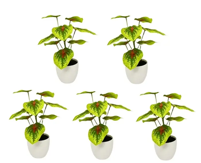 Le cadeau idéal pour les amateurs de plantes : un faux bonsaï de 20 cm