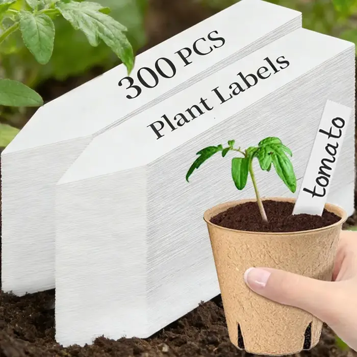 Étiquettes de plantes en plastique 100/300x