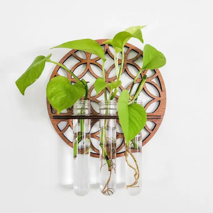Terrarium vertical avec verre pour plante