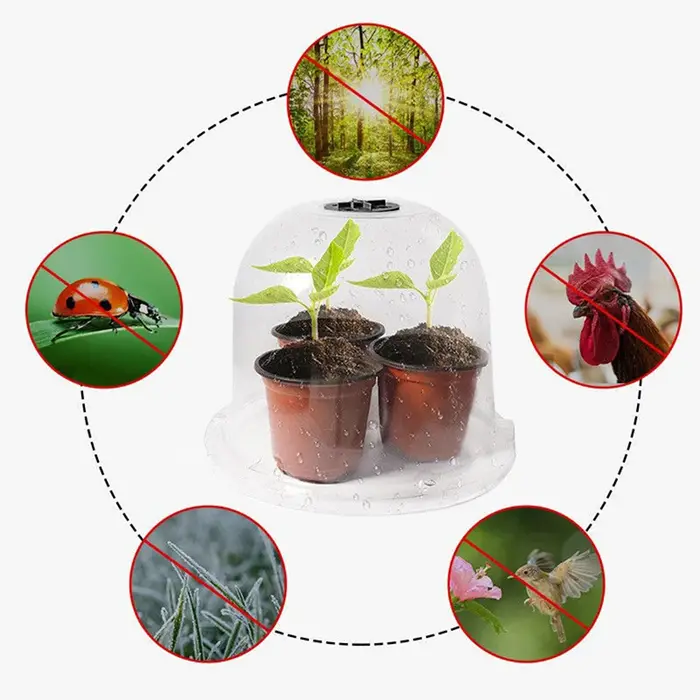 Dôme de protection contre l'humidité pour plantes en plastique réutilisable