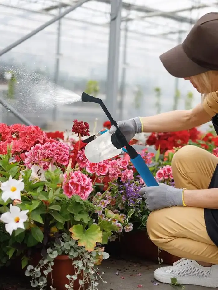 Distributeur applicateur de poudre de jardin