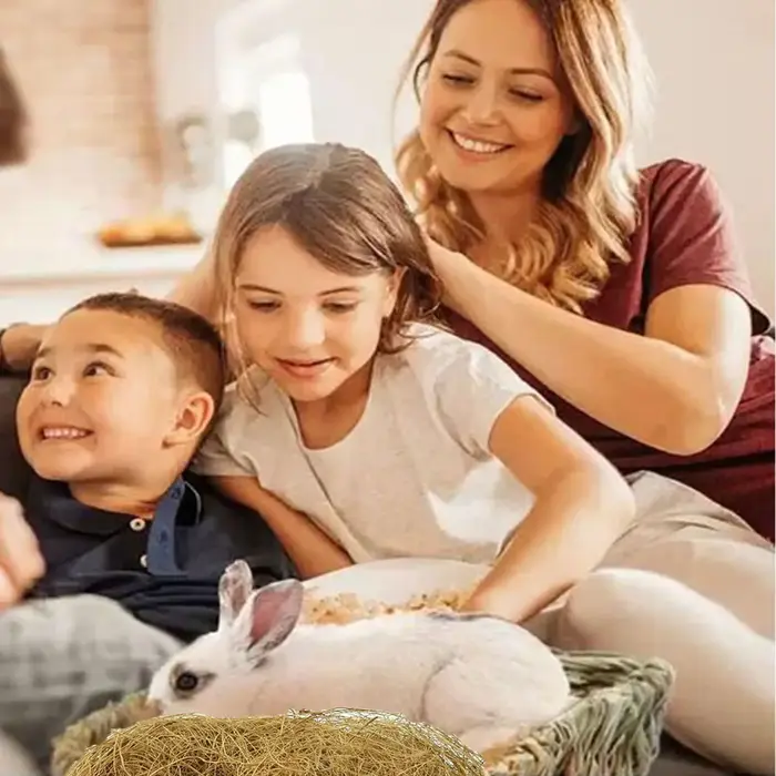 Pot de plantes en Fiber de coco