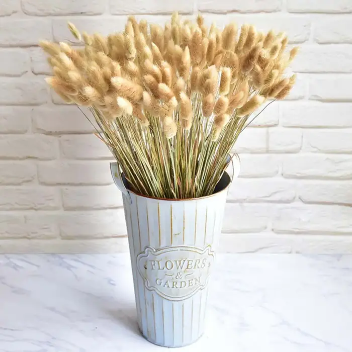 50 pièces de queues de lapin séchées, herbe naturelle, plantes décoratives, fleurs pour mariage, décoration de table, herbe séchée Pennisetum