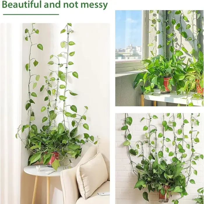 Pince auto-arina pour plante verte, outil mural grimpant, vigne grimpante, outil de croissance des plantes, 10 pièces