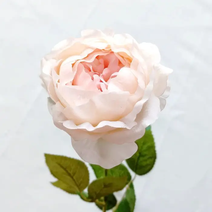 Fleurs de pivoines artificielles nouvelle collection hydratant toucher réel décoration de maison sal