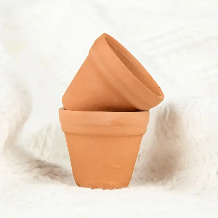 Mini jardinières en terre cuite de 1.3 pouces