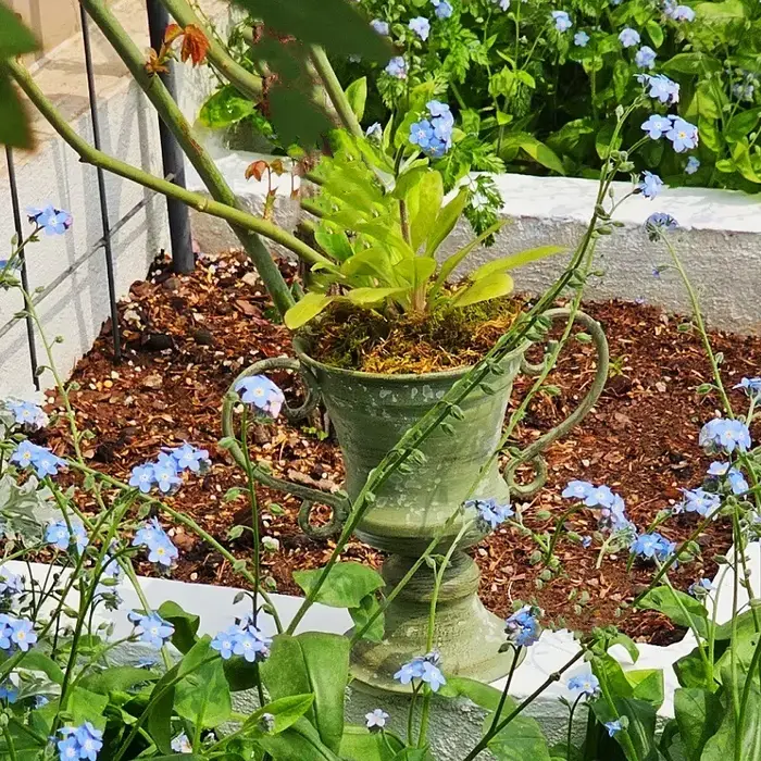 Pot de fleurs trophée à bouche ronde à double oreille