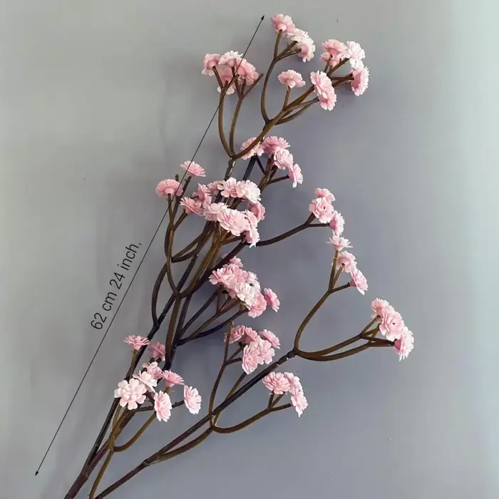 Fleur séchée Gypsophila de 62 cm de haute qualité