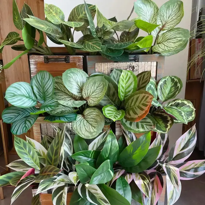 Plante artificielle en soie
