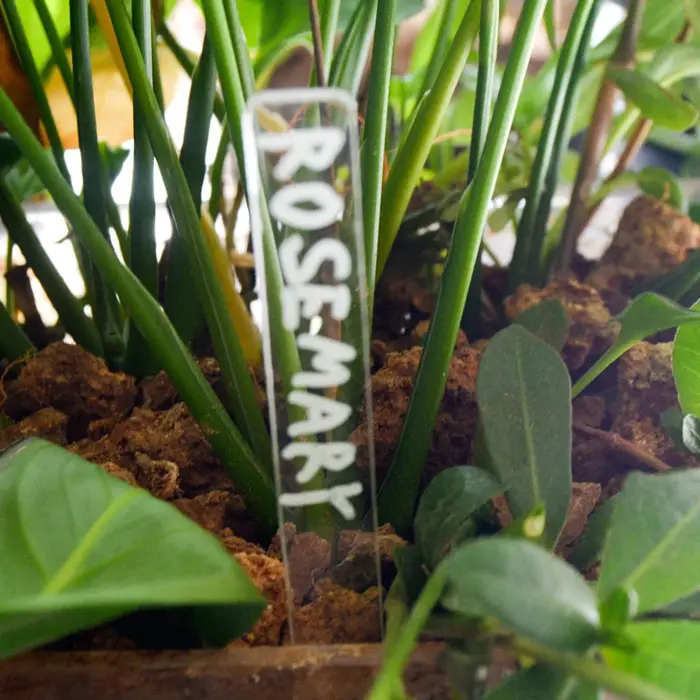 Étiquettes de plantes en acrylique
