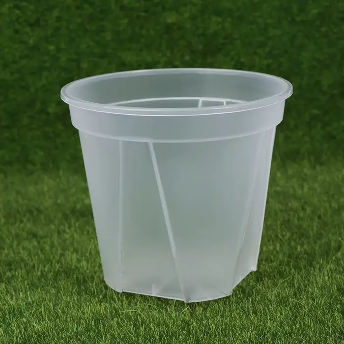 Pot de fleur transparent avec escalier