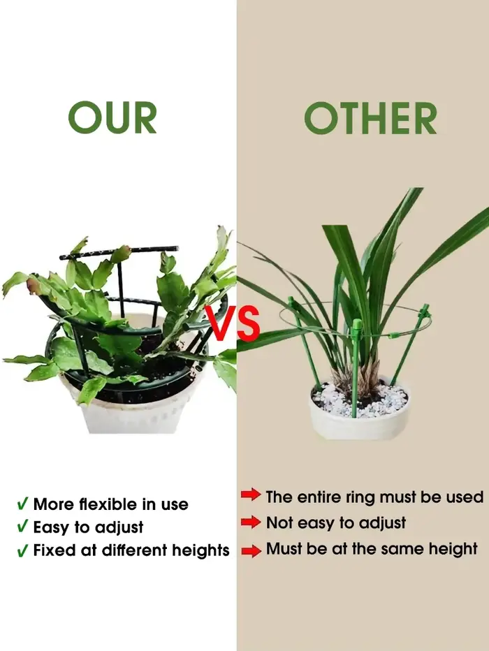 Support pour plantes épissées, 2 tailles, support pour orchidées monocouche, multi-viande, Support p