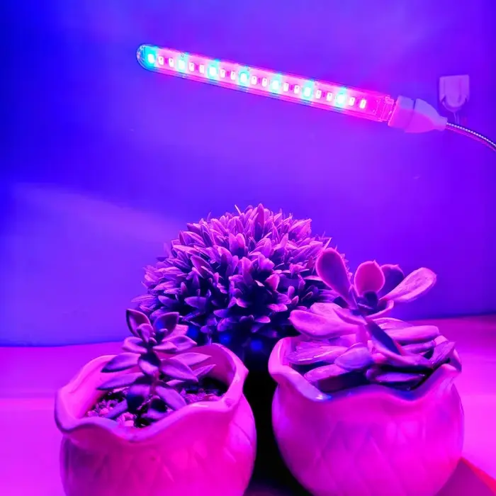 Lampe de croissance pour plantes LED à spectre complet, lampe USB réglable pour succulentes, semis, culture hydroponique et jardin d'intérieur