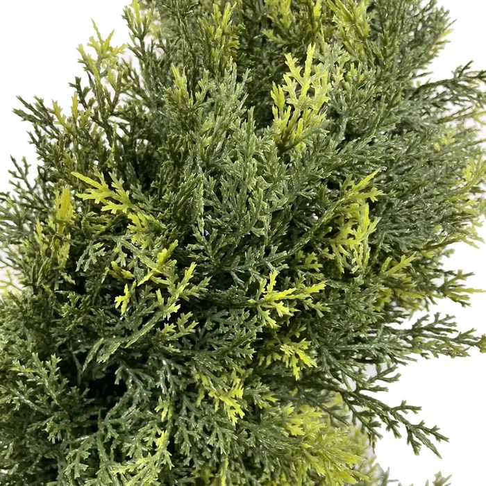 Plante de simulation artificielle