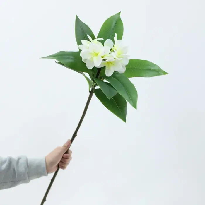 Impression 3D Main Sensation Frangipanier Fleurs Branche