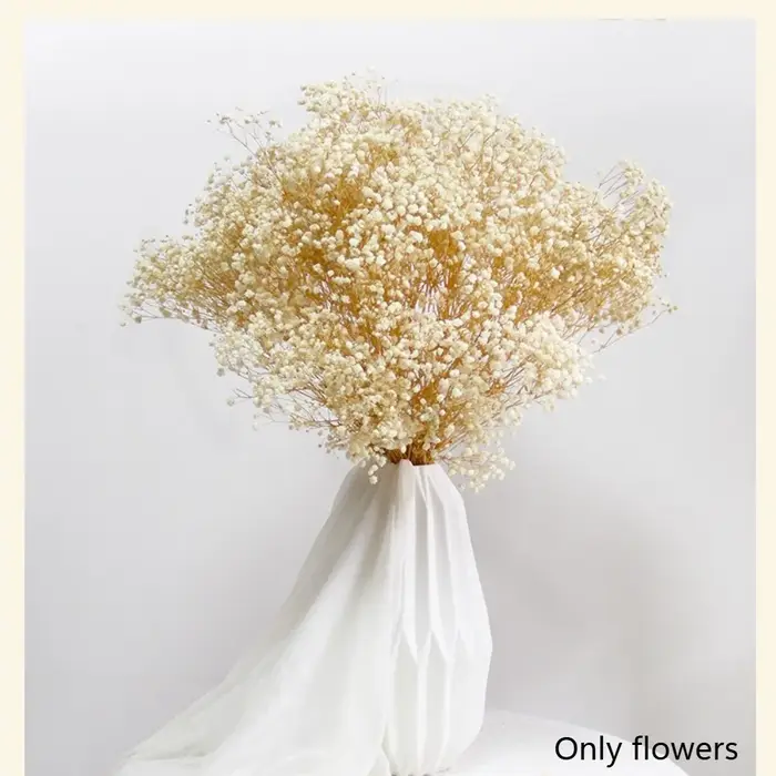 100g fleurs séchées souffle de bébé fleurs conservées Gypsophila Bouquet Boho décor à la maison colo