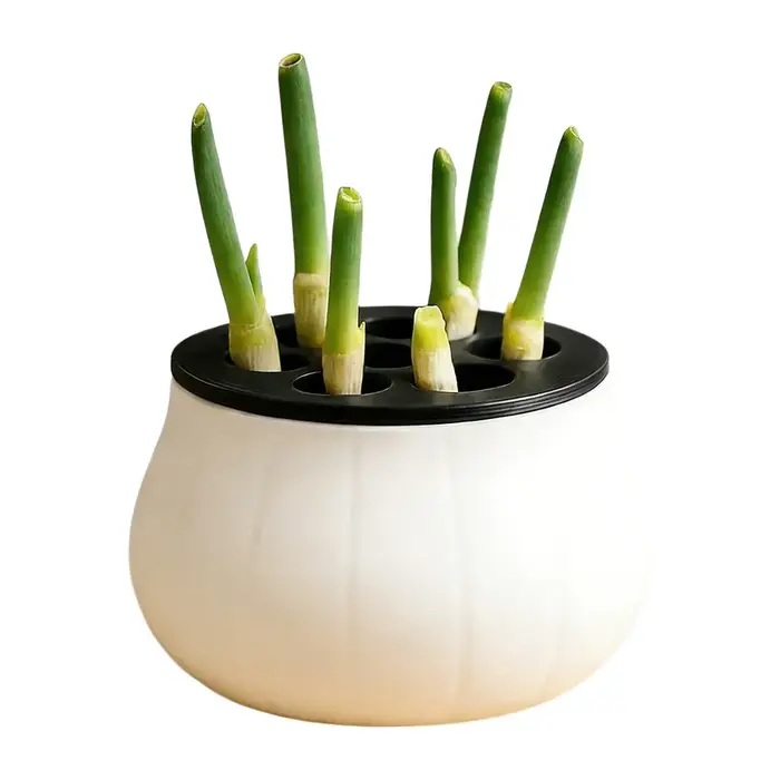 Jardinière à oignon vert à design peu encombrant