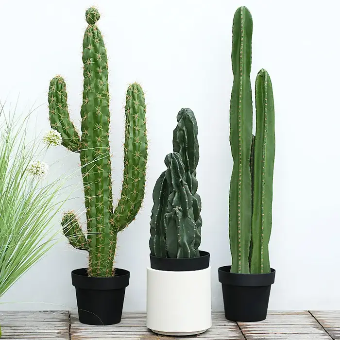 Plante succulente verte artificielle au toucher réaliste avec pot