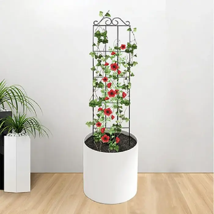 Cadre d'escalade en métal pour plantes grimpantes