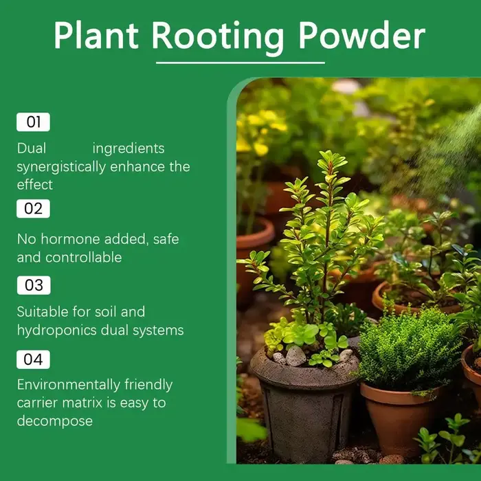 Poudre d'enracinement pour plantes