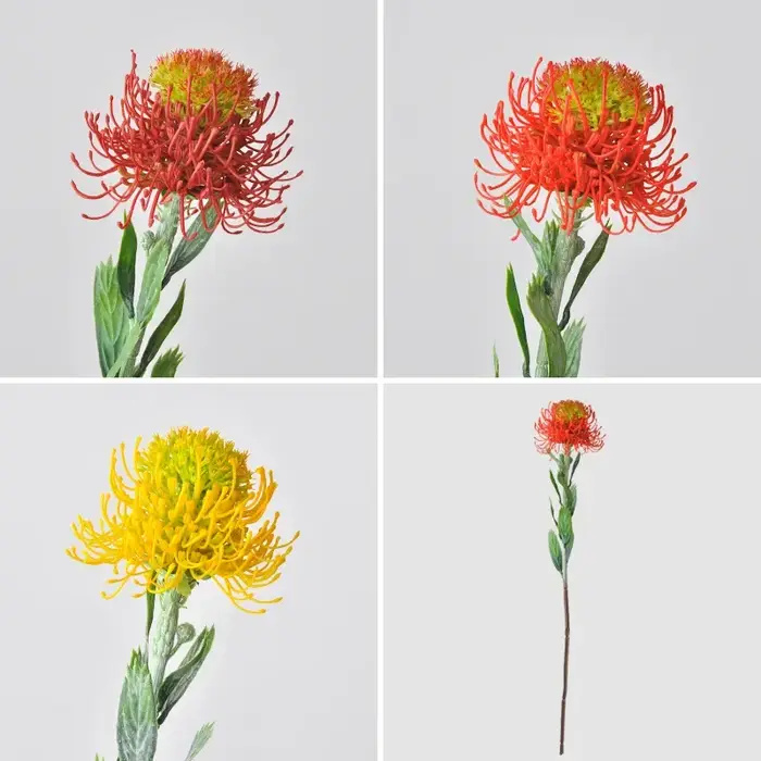 Fleur artificielle sud-africaine pour décoration de mariage