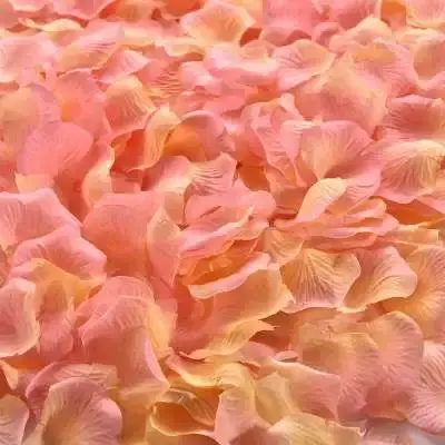 Pétale de Rose colorée artificielle romantique, feuilles de Rose en soie, décoration de fête de mari