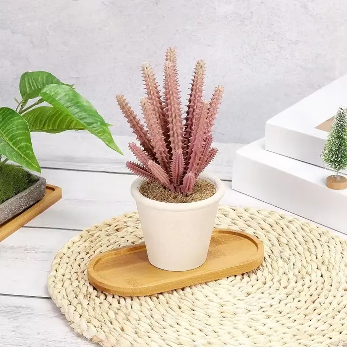 Plateau de rangement en bambou pour la maison