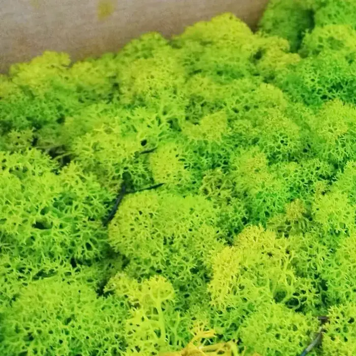 Plantes Vertes Artificielles Bon Marché