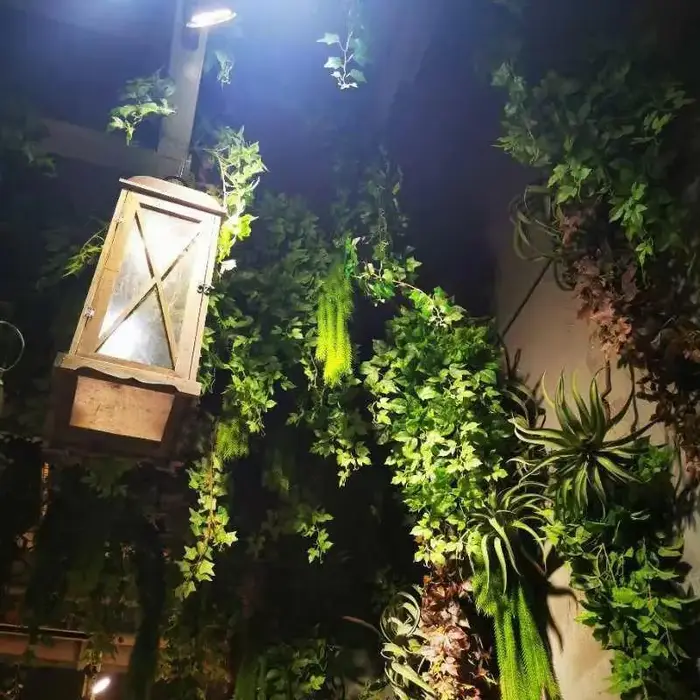 Plantes de vigne artificielles suspendues