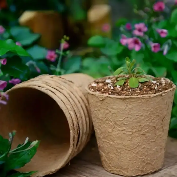 Pots de plantes biodégradables en pulpe écologique