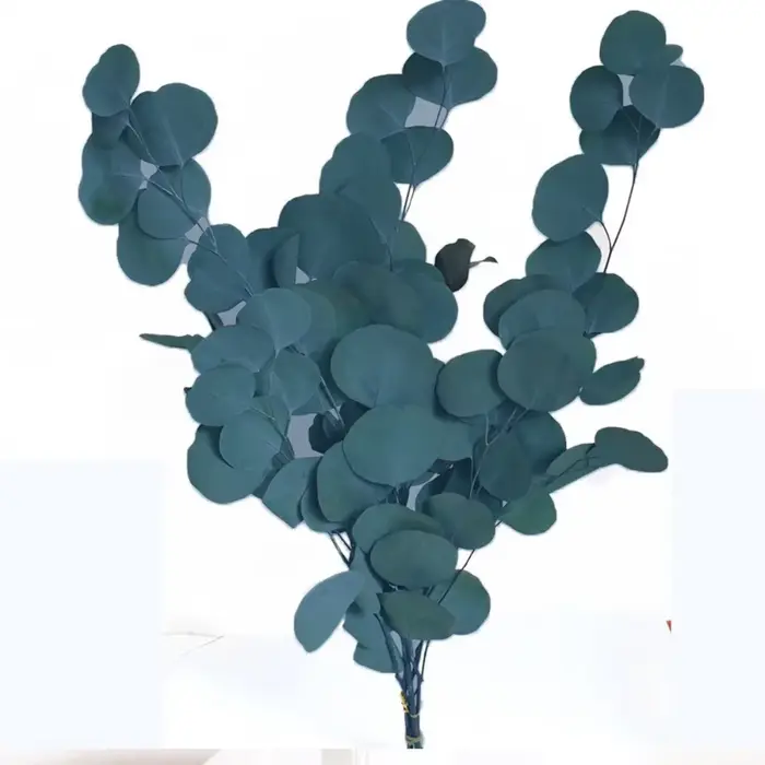 Bouquet de feuilles d'eucalyptus conservées, 100g, fleurs séchées naturelles, vraie feuille de pomme