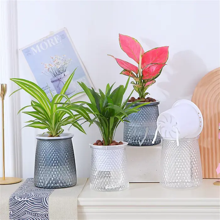 Pot de plantes hydroponiques auto-arrosant