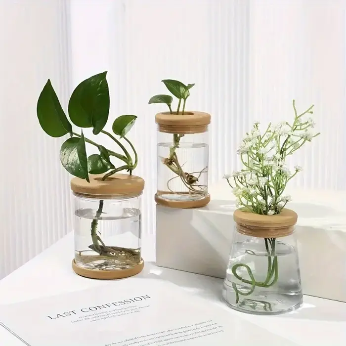 Station de culture de plantes, Pot de fleur en verre de bureau, Vase en verre avec couvercle et plat