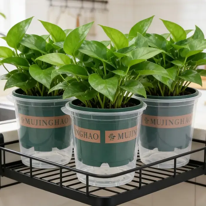 Pots de fleurs auto-arrosants pour personne pressée