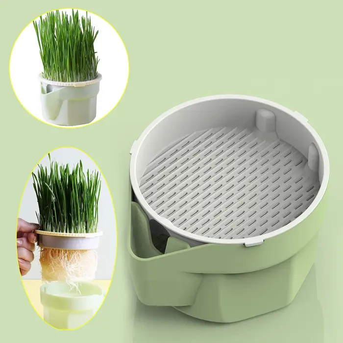 Tasse de plantation d'herbe de chat hiérarchique